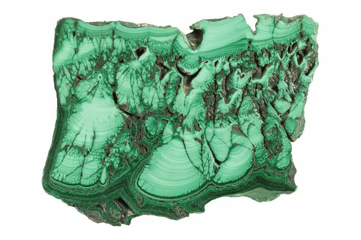 Flowery, Polished Malachite Slab #264749